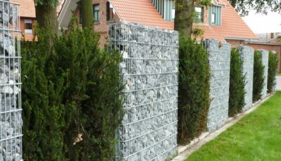 Steinzäune mit Hecke